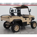 800cc 4*4 2 Seater UTV